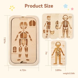 WOODEN TEETHER Wooden Human Body Puzzle Toy,18 Pcs Body Anatomy Puzzle Play Set for Toddlers Aged 3+, Includes Organs Muscles and Skeleton Educational Learning Preschool Toys for Boys and Girls