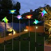 Paquete de 6 luces solares de estaca de jardín al