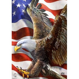 American Freedom Eagle Everyday House Flag 40" x 28" Briarwood Lane