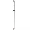 Coleman for Coleman 1-Push Center Hub Oasis Shelter Canopy LEG