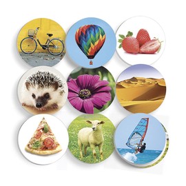 Akros XAK-20039 The Roulette of Preelectura Game Language