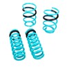 Godspeed LS-TS-BW-0002-A Traction-S Performance Lowering Springs, Improve Overall Handling And