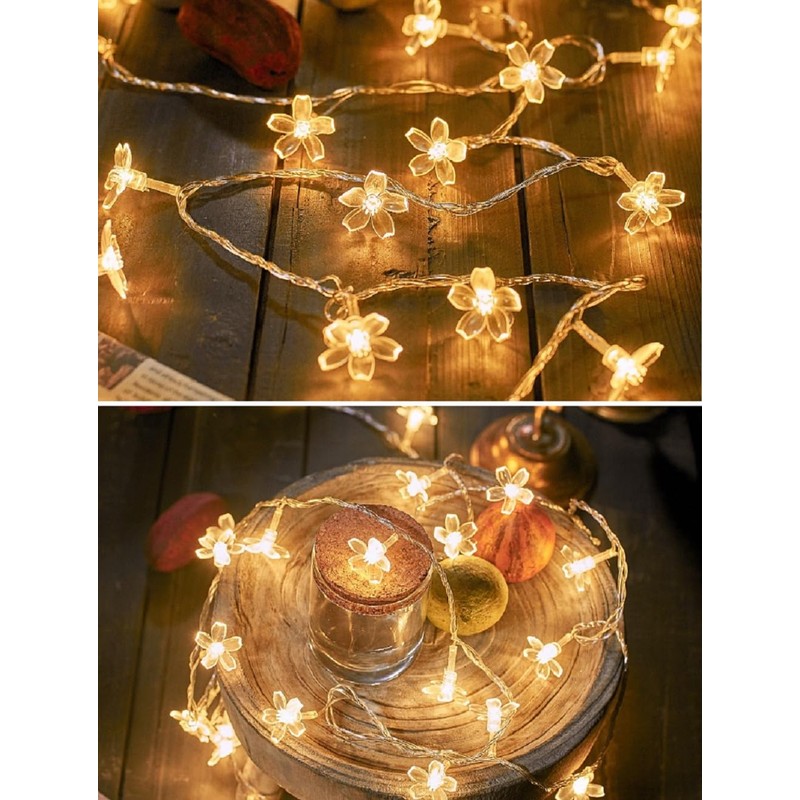 WFGGEH Flower String Lights, 10ft 20 LED USB Powered Cherry