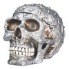Diamond Plate Skull Container - Collectible Skeleton Figurine Model