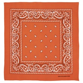 Orange Paisley Bandana - Single Piece 22x22