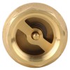 High Accuracy Brass Threaded One Way Non Return Check Valve