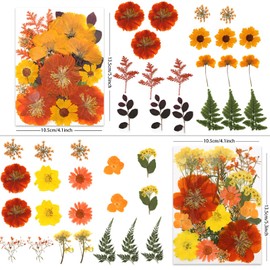 LUXEEASE 80P Autumn Tone Dried Flowers for Crafts - Real Natural Pressed Flowers in Warm Fall Hues for Resin, DIY Art, Jewelry, Thanksgiving Decor & Pumpkin Decoration – Tweezers Included