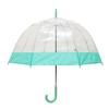 Clear Bubble Umbrellas Green Trim, Transparent Umbrella, Dome Shape Umbrella