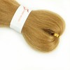 27 Honey Blonde Braiding Hair Pre stretched 12 Inch 3