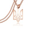 KEYCHIN Ukrainian Symbol Necklace Ukraine Trident Inspired Gifts Ukraine Remembrance
