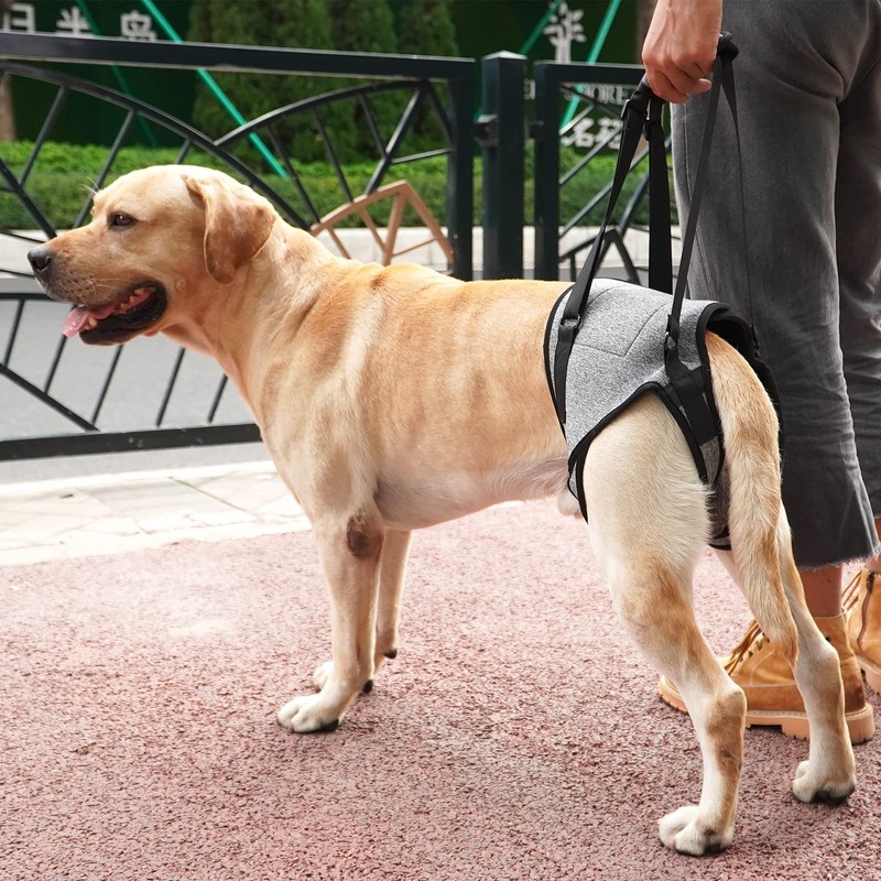 Dotoner Dog Lifting Harness, Dog Support Harness for Rear Legs,