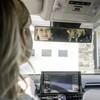 Verivue Universal Panoramic 12-Inch Rear View Mirror, Anti-Glare Wide Angle