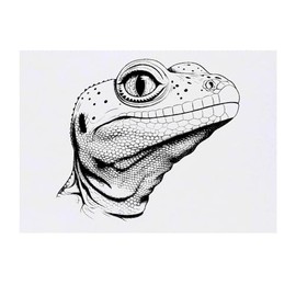 'Gecko Head' Temporary Tattoo - Water Resistant, Skin-Safe, Non-Toxic Transfer (TO00070861)