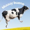Balsamo Blanco Y Pomada Para Golpes Ubresol