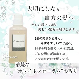 ESK Cosmetics Hairdresser Supervision Color Care Shampoo, Fade Prevention, Formulation, Damage Repair, Skin-friendly Shampoo 10.1 fl oz (300 ml)