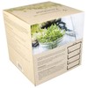 mgc24® germination sprocket box for growing sprouts with 4 sprouting