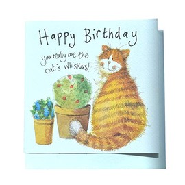 Alex Clark Cat's Whiskers Birthday Card