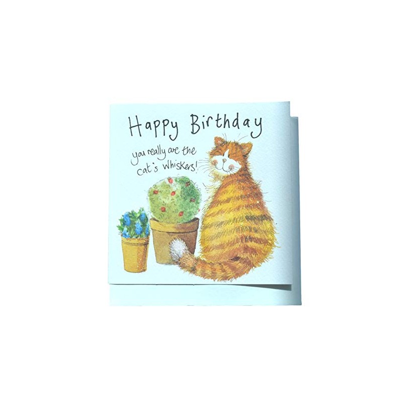 Alex Clark Cat's Whiskers Birthday Card