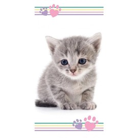 APTEX Bath Towel Beach Towel with Cat 70 x 140 cm, Multicolor