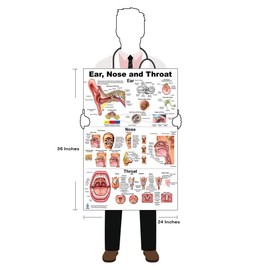 Blue Tree Publishing Ear Nose Throat Anatomy Poster 24x36inch, Otolaryngology