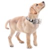 Faleela Soft &Comfy Bowtie Dog Collar,Detachable and Adjustable Bow Tie