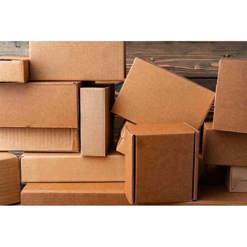 Spellbound Lizard Orange 6-Pack Safety Utility Knife w/o Safety AVM