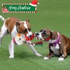Chngeary Dog Christmas Toys for Small Medium Large Dogs, Squeaky