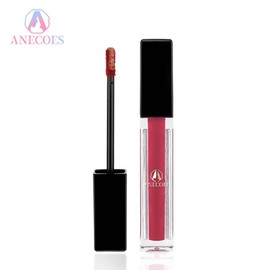 Long Lasting Matte Liquid Lipstick - Color: Brick Mauve