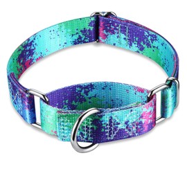 Dazzber Martingale Dog Collars Colourful Oil Painting Pattern Series - No Pull Pet Collar Silky Soft for Medium and Large Dogs (Large, 2.5 cm Wide, Ecology Oasis)