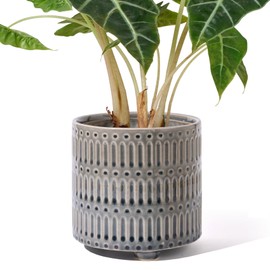 STHIE Ceramic Plant Pots Indoor with Drainage Holes 5.5 Inch Small Succulent Orchid Planter Pots Decorative Footed Round Flower Pots for Plants Indoor Outdoor, Reactive Glaze Grey