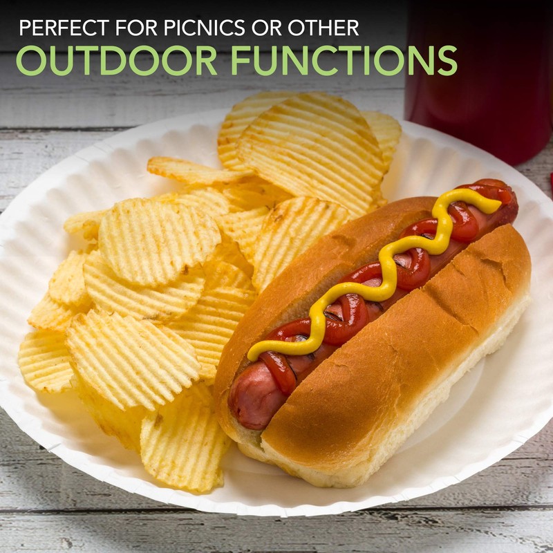 Stock Your Home 9-Inch Paper Plates Uncoated, Everyday Disposable Plates