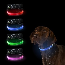 Petty Italia Verstellbares Hundehalsband aus Biothane mit LED, Nachtleuchtendes Halsband aus Biothane mit PVC und wiederaufladbarem Akku (Grün, XS)