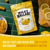 Wiley Wallaby Licorice 7.05 Ounce Classic Gourmet Soft & Chewy