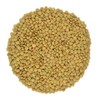 Organic Green Lentils Whole Raw, High Fiber Non-GMO-Bulk (1LB)