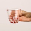Aderia Tsugaru Vidro FS-71562 Free Cup 9.1 fl oz (270