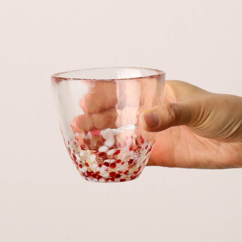 Aderia Tsugaru Vidro FS-71562 Free Cup 9.1 fl oz (270