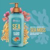 Mielle Organics Champú Anticaída De Musgo Marino 8 Onzas Líquidas