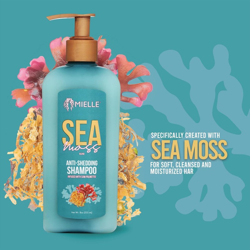 Mielle Organics Champú Anticaída De Musgo Marino 8 Onzas Líquidas