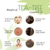 Old Tree Tea Tree Essential Oil for Skin, Hair and