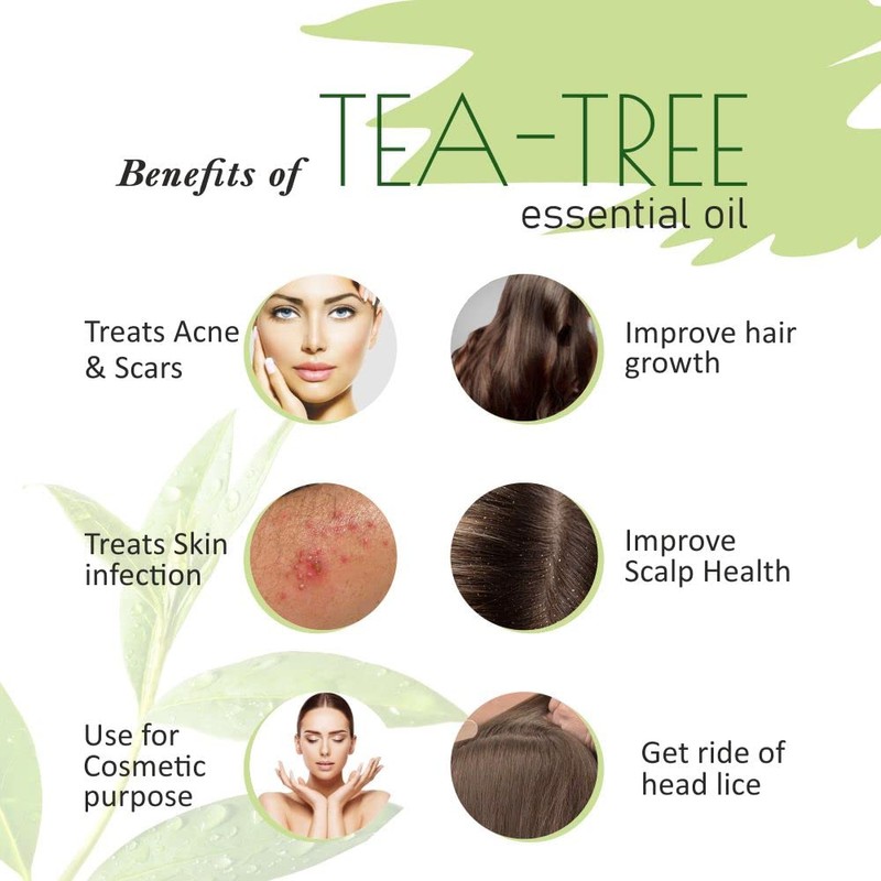 Old Tree Tea Tree Essential Oil for Skin, Hair and