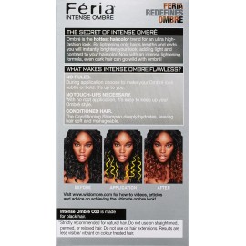 Feria L'Oreal Paris Feria Brush-On Intense Ombre Effect Hair Color, 030 for Black Hair