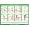 Joint Anatomy Chart Series (A2 Laminated, Foot & Ankle Joint)