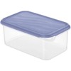 Rotho 2 Litre Rectangular Container with Blue Lid