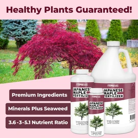 Japanese Maple Fertilizer, Complete Liquid Plant Food for All Japanese Maple Tree Varietals, 1 Gallon (128 oz)