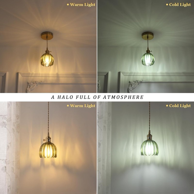 Battery Operated Ceiling Light,Pendant Light Petal Glass Battery Chandelier Light