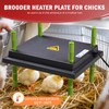 Tetuga Chicken Brooder Box for Chick Starter Kit - 10