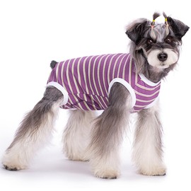 XDOOXMLX Dog Recovery Suit After Surgery,Dog Surgery Recovery Suit for Abdominal Wounds,Dog Recovery Onesie,Neuter for Male/Female Dogs Anti-Licking Substitute Elizabethan(DRS01-Purple-M)