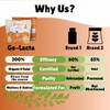 Go-Lacta Organic Moringa Tea – Increase Breast Milk Supply –