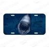 Amel Shark Attack Great White Shark Jaws tiburón Ocean License