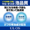 ULEOS | Body Shampoo | Skin Wash 300ml (Japan Import)